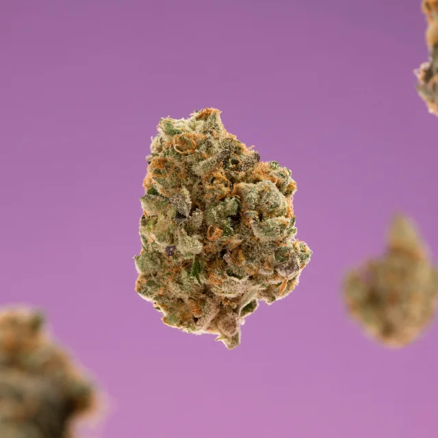 Cannabis flower on the Joyology menu