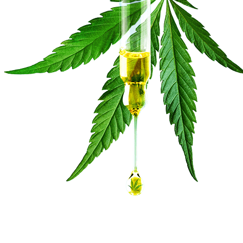 CBD